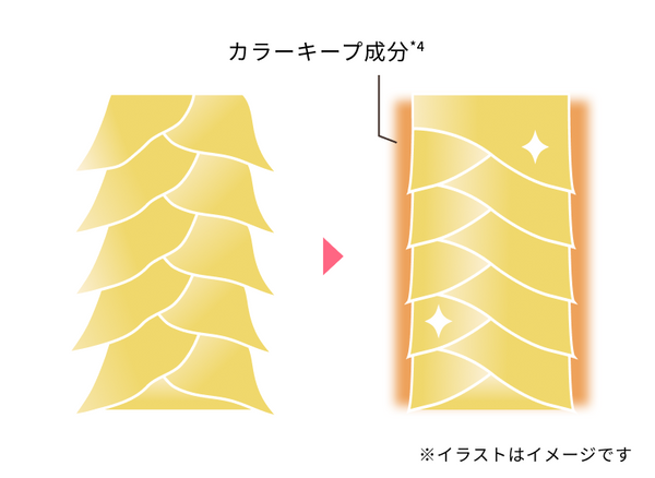 カラーキープ × 表面コート