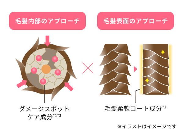 PPT補修*1×CMC補強*2×ボンド*3ケア