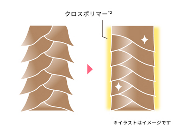 ツヤ感つづく、カラーキープ処方