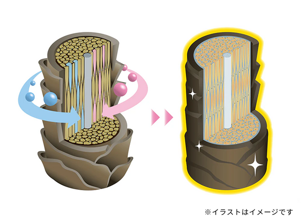 毛髪内部から補修しハリのあるしなやかな髪へ