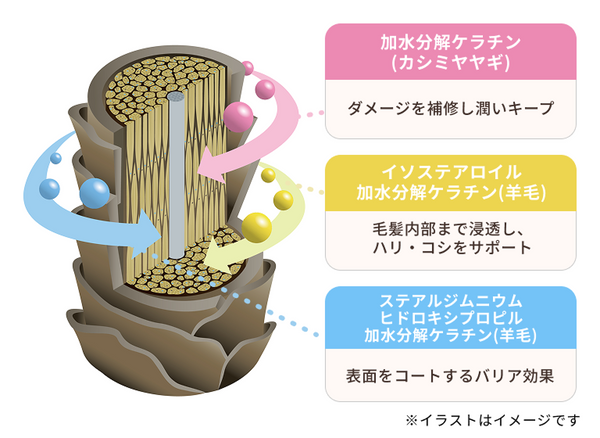 補修が主役のケラチン*1処方