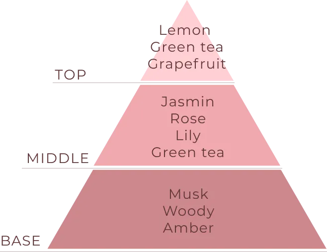 香りのピラミッド。TOP:Lemon,Green Tea,Grapefruit MIDDLE:Jasmine,Rose,Lily,Green Tea BASE:Musk,Woody,Amber